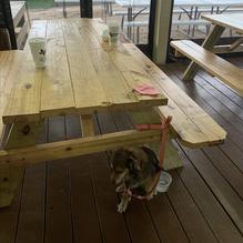 Live Oak Grill restaurant view 2