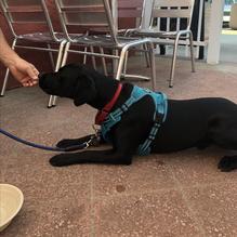 Baja Beach House Grill restaurant view 4