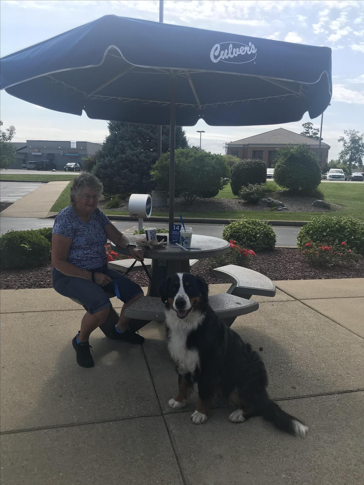 Culver's restaurant view 1