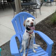 Bucket Bar restaurant view 2