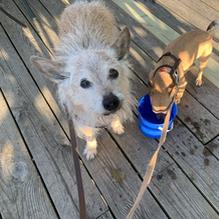 Miller's Landing Lakeside restaurant view 1