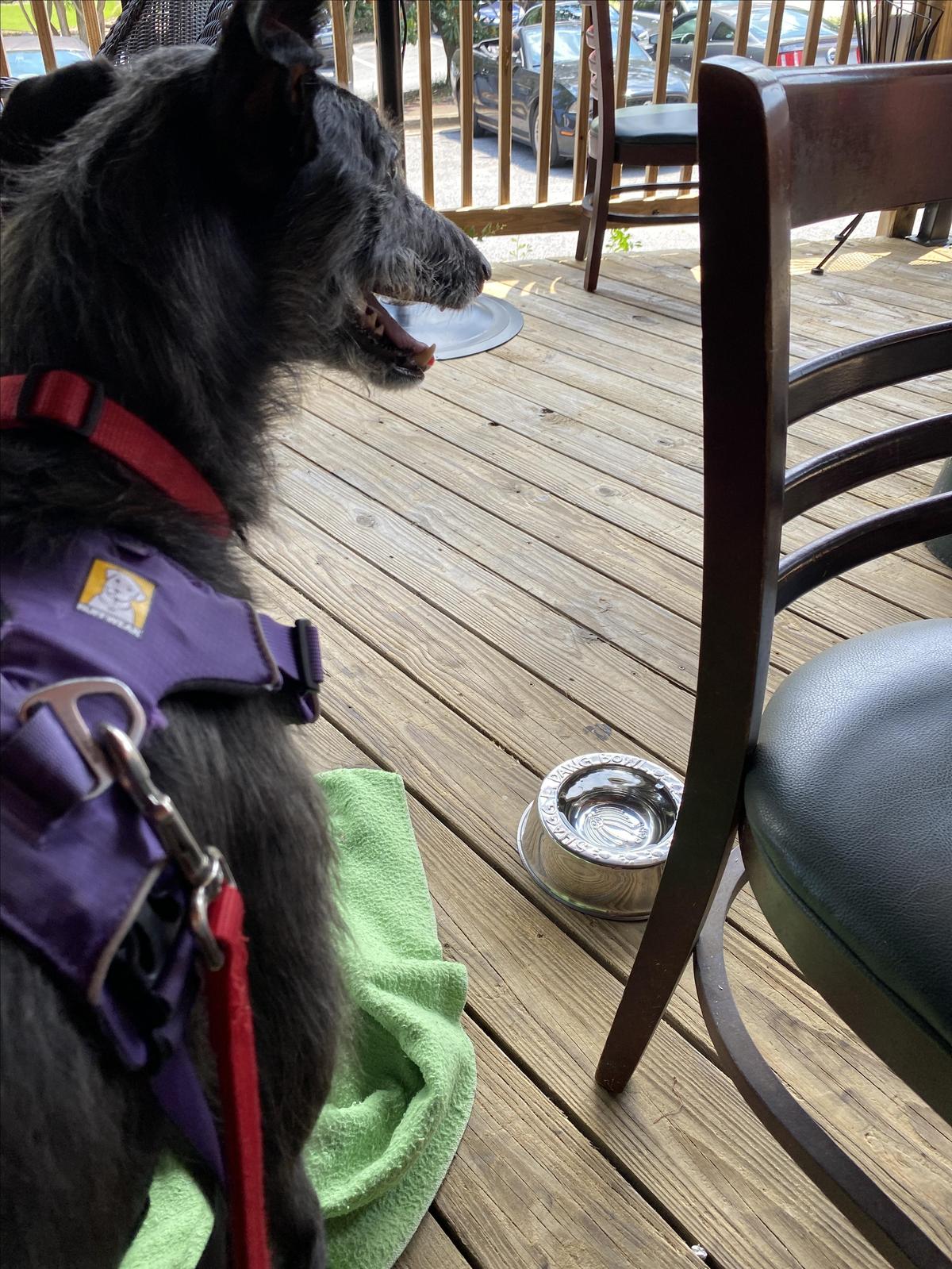 Irorn Horse Tavern restaurant view 1
