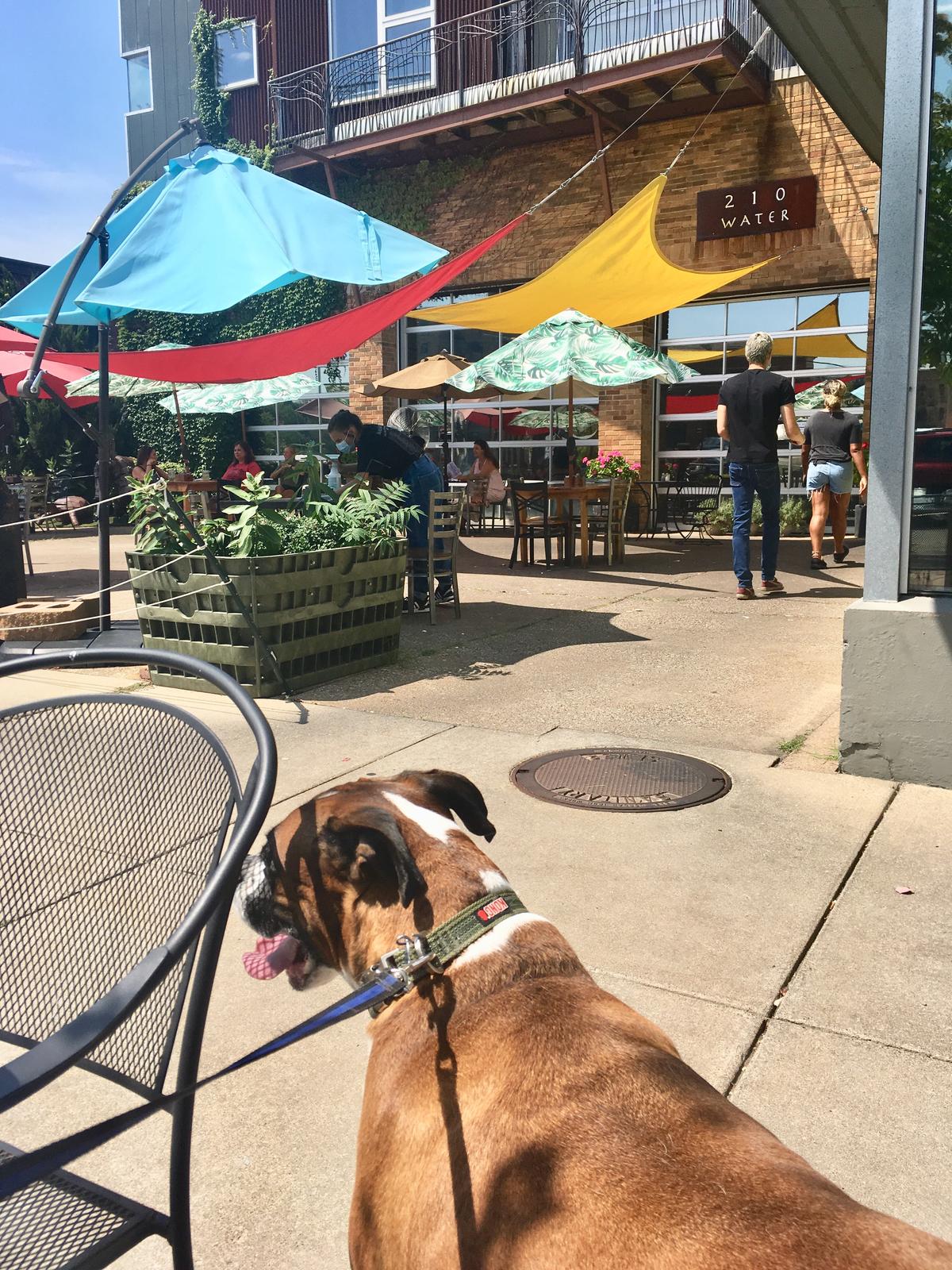 The Mason Jar Cafe restaurant view 1