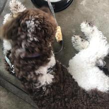 Timothy's Riverfront Grill restaurant view 4