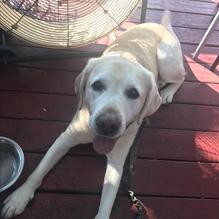 Sozial Haus restaurant view 2