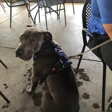 Texican restaurant view 1