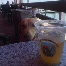 Harbor View Restaurant restaurant view 7