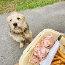 McLaughlin's Takeout restaurant view 2