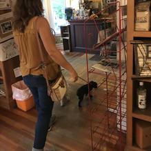 A New Leaf Coffeehouse restaurant view 3