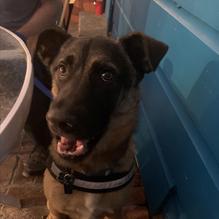 Depot Garden Restaurant restaurant view 1