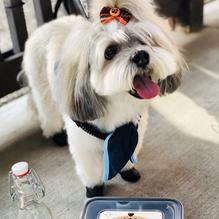 Vin Room Mission restaurant view 5