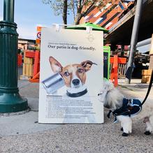 Vin Room Mission restaurant view 4