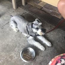 Peach Valley Cafe West restaurant view 2