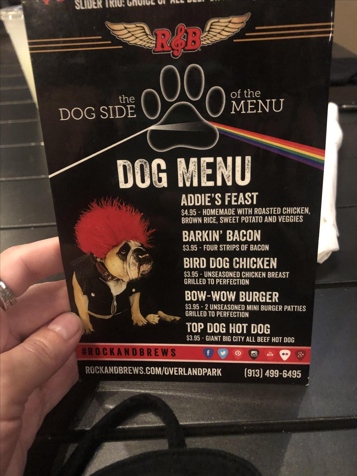 Rock Brews Is Pet Friendly