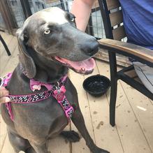 BoomerJacks restaurant view 1