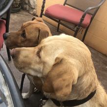 Westside Lilo's Cafe restaurant view 3