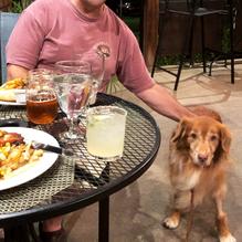 The Sage Rabbit restaurant view 3