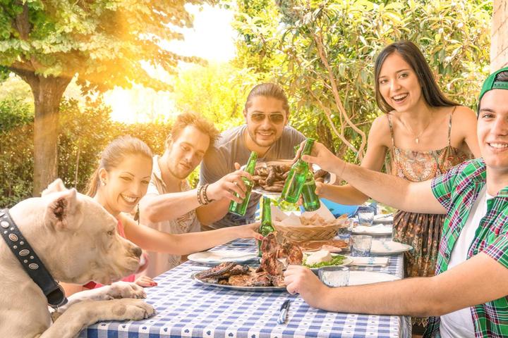 Pet friendly American BBQ trails to eat barbecue with your dog.