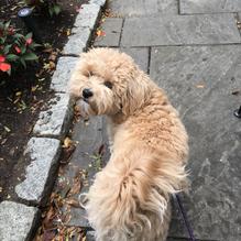 Barnacle Billy's restaurant view 3