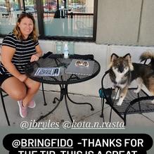 Sushi Blue restaurant view 2