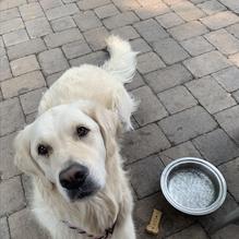 McKay Cottage Restaurant restaurant view 3