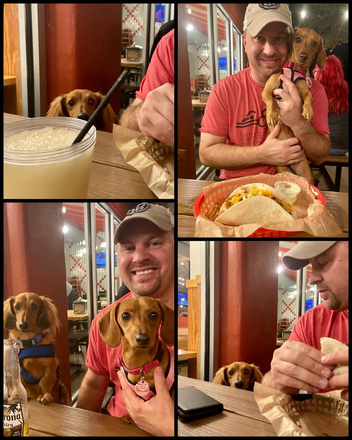 Torchy's Tacos restaurant view 3