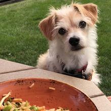 Sawmill Inn restaurant view 2