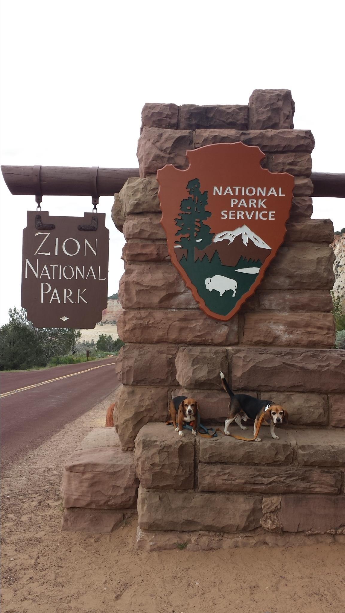 Zion national sales park dog boarding