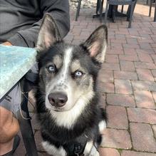 Brew River restaurant view 1