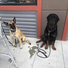 Rib Crib restaurant view 3