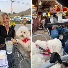 Sea Shanty Restaurant restaurant view 8