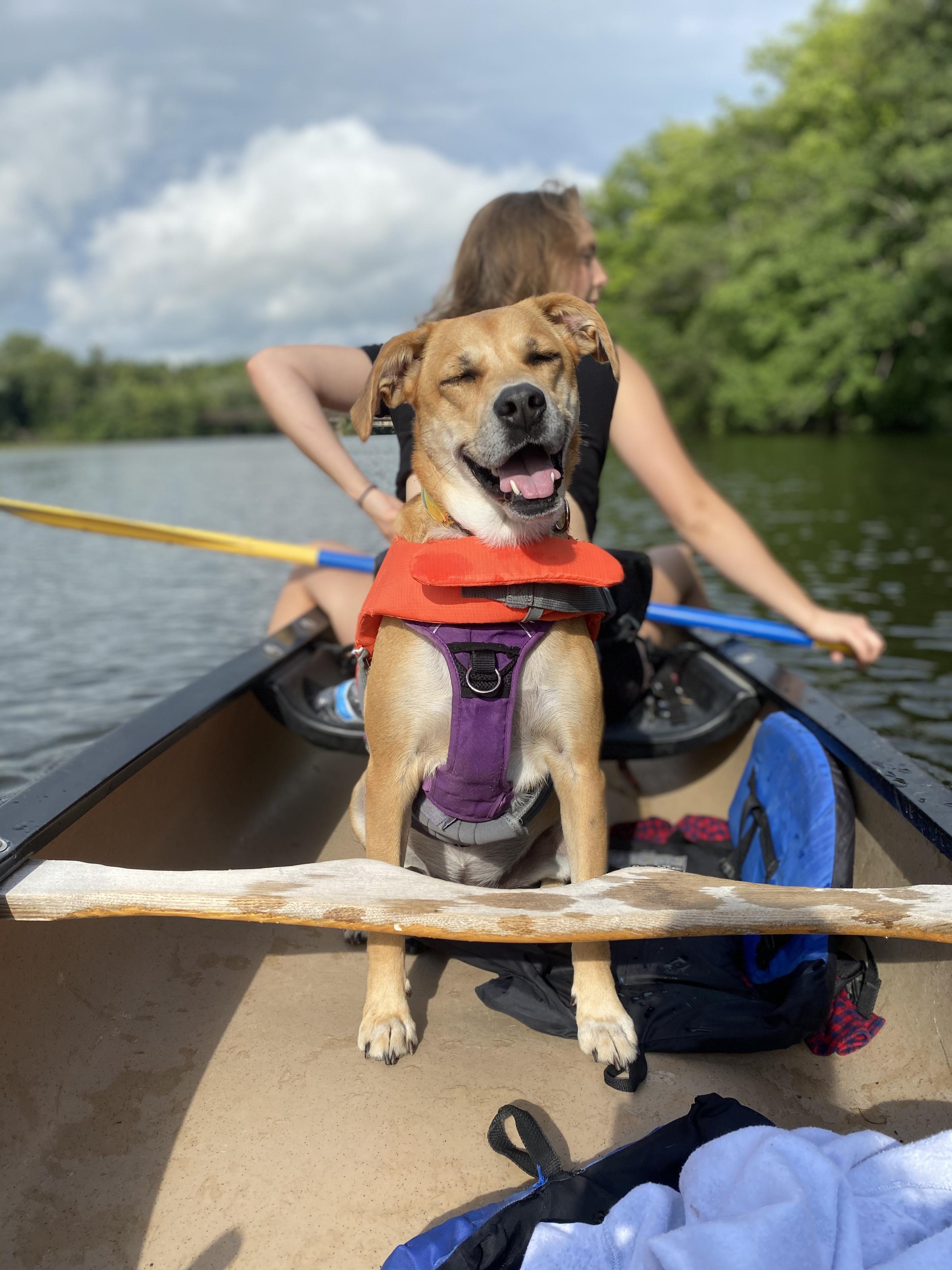 Pet Friendly Argo Park Canoe & Kayak