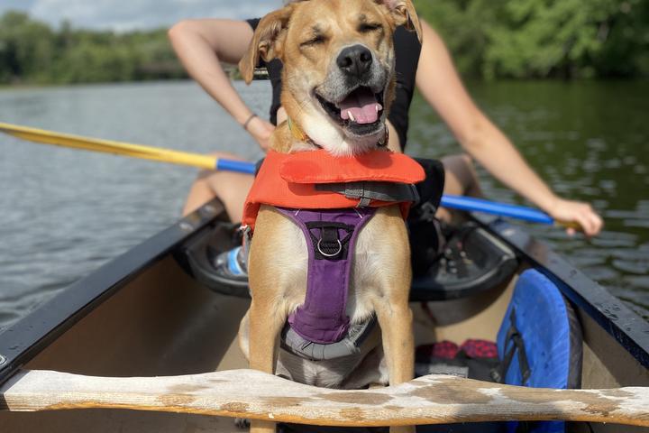 Pet Friendly Argo Park Canoe & Kayak