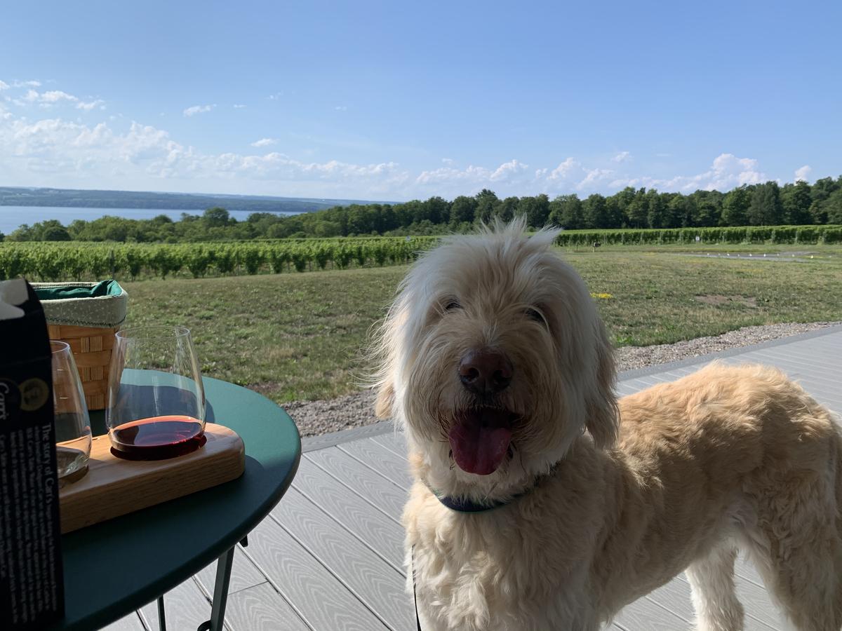 Seneca Lake Wine Trail