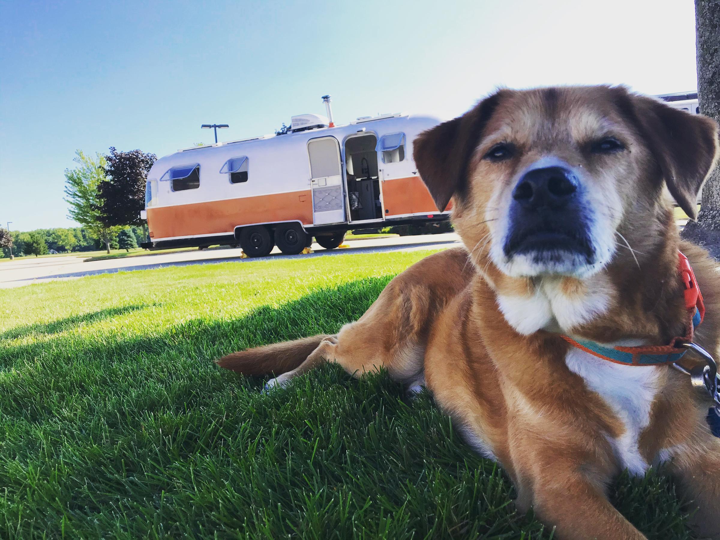 Pet Friendly RV Motorhome Hall of Fame and Museum