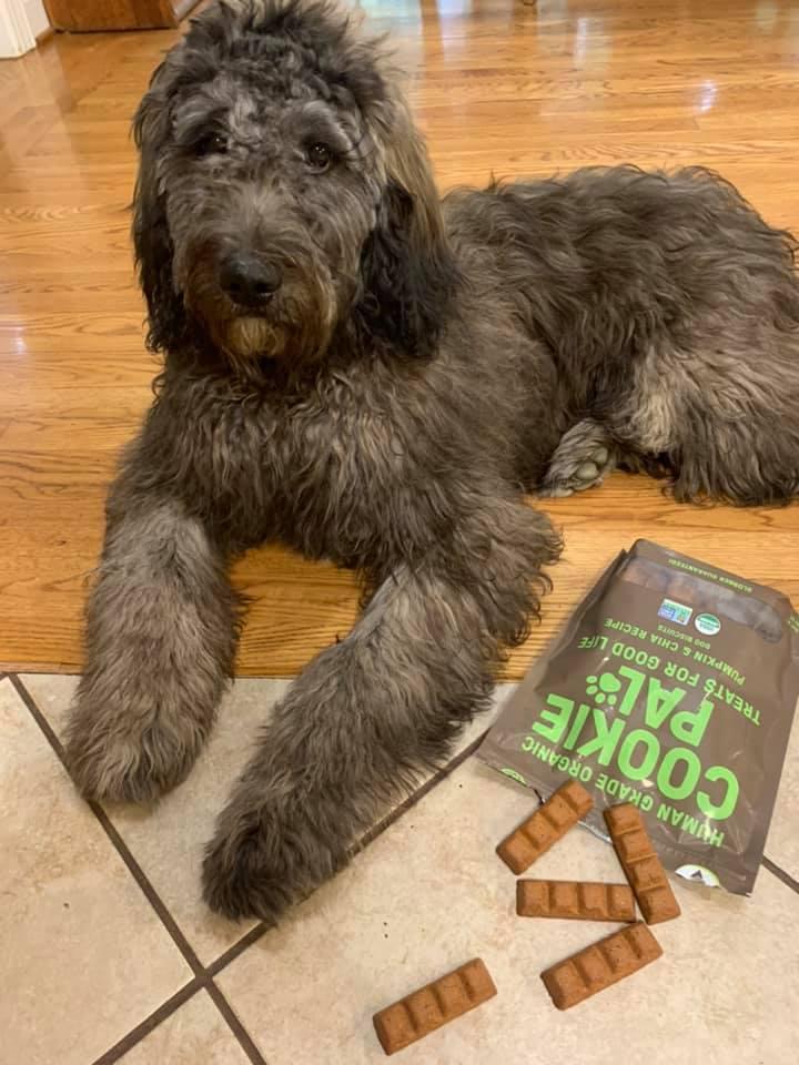 Seeds and Greens Natural Market and Deli restaurant view 7