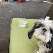 Fork restaurant view 2