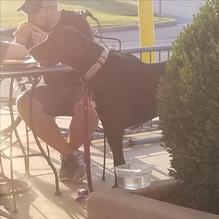 Dirty Dogz O'Fallon restaurant view 1