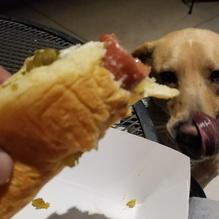 Dirty Dogz O'Fallon restaurant view 2