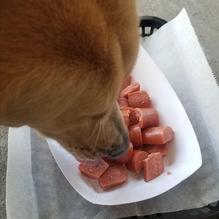 Dirty Dogz O'Fallon restaurant view 6