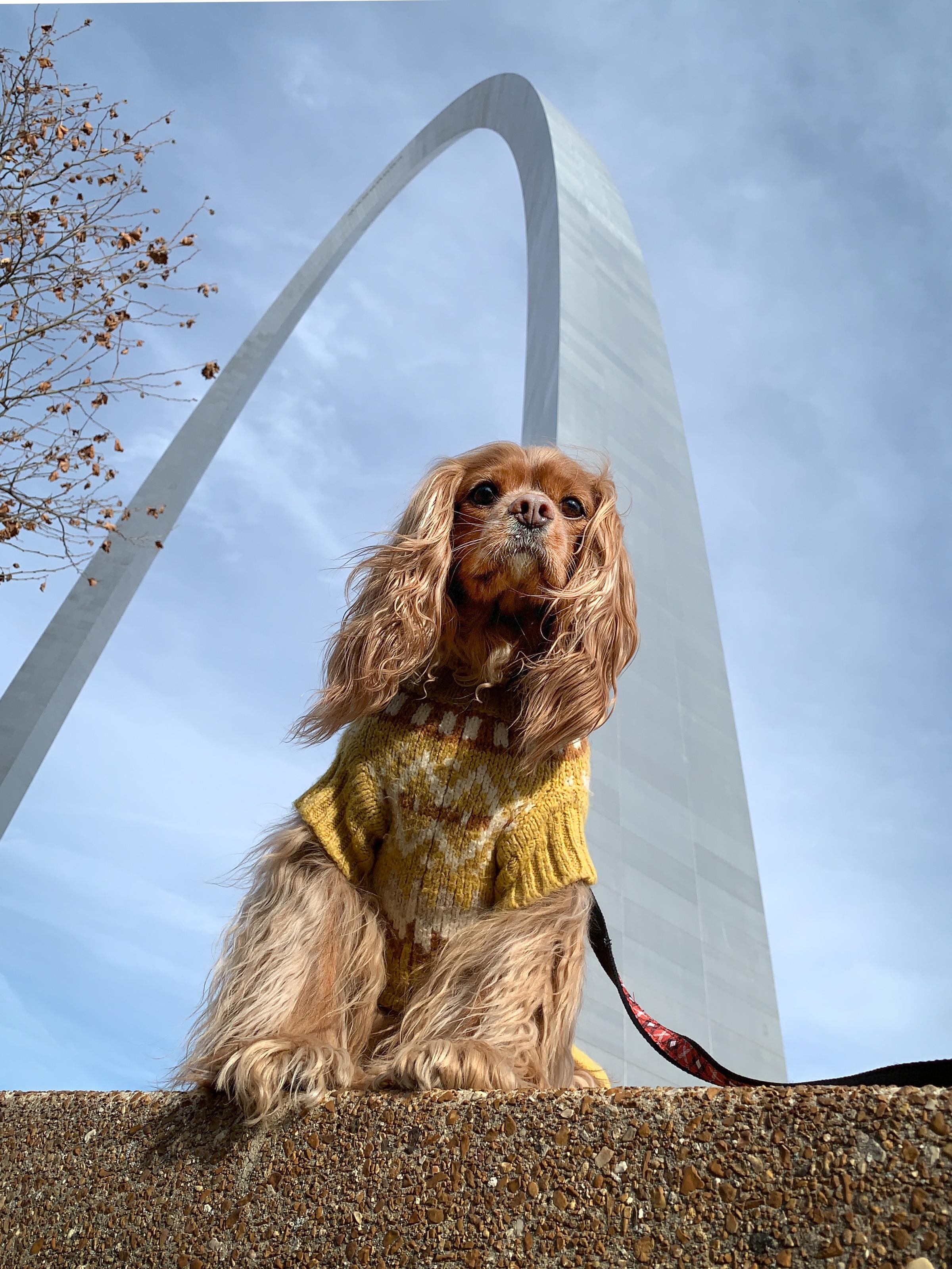 Pets - Gateway Arch National Park (U.S. National Park Service)