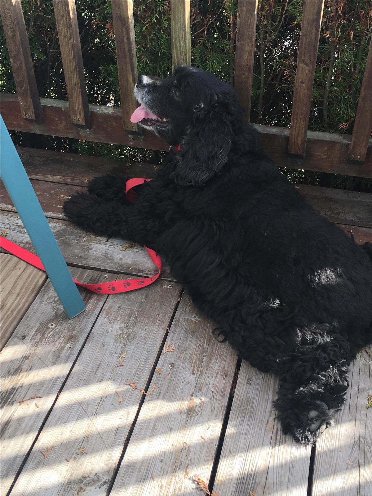 The Beach House restaurant view 4