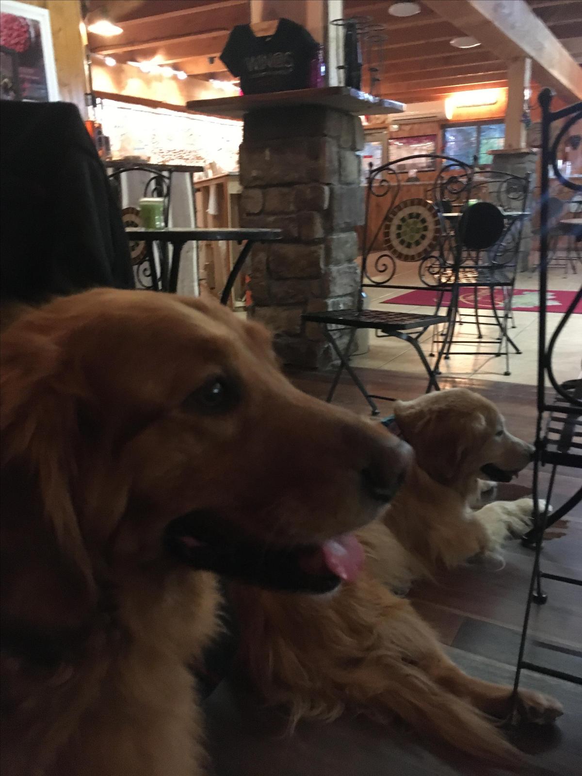 Sorrenti Family Estate restaurant view 6