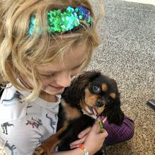 Amicis restaurant view 1