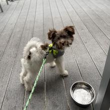 Table9 restaurant view 5