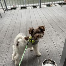 Table9 restaurant view 4