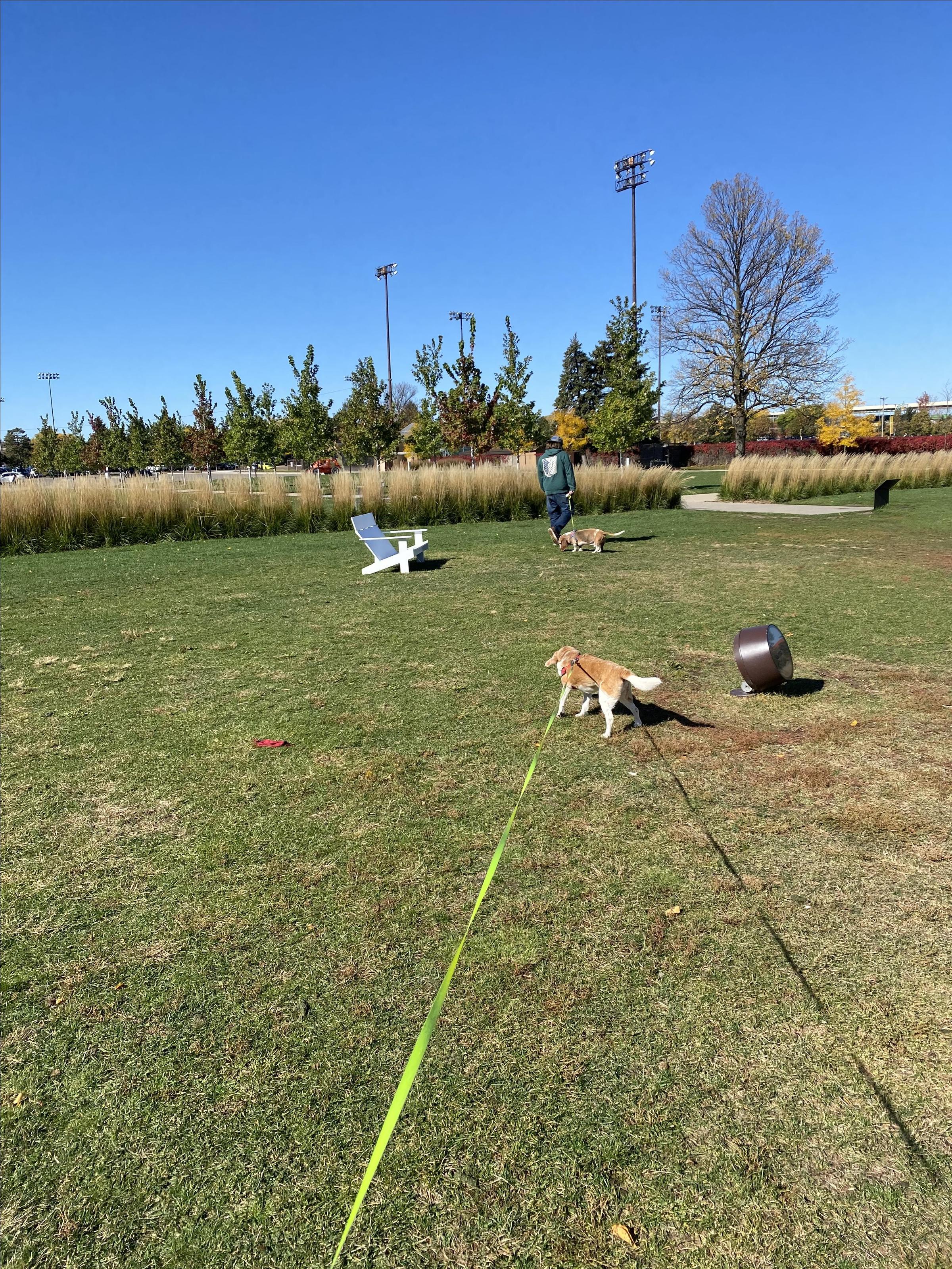 are dogs allowed at the walker sculpture garden