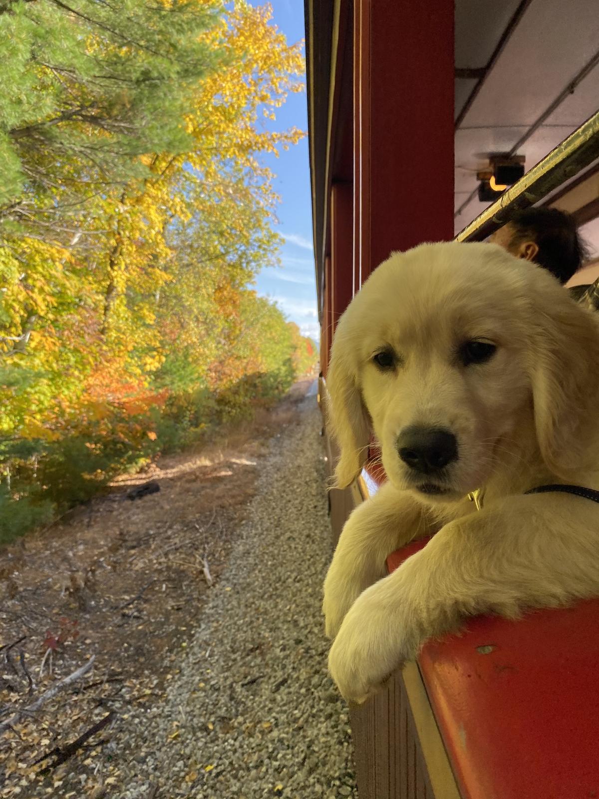 Conway Scenic Railroad