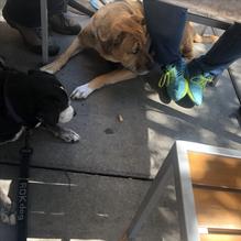 John King Grill & Dueling Piano Bar restaurant view 1