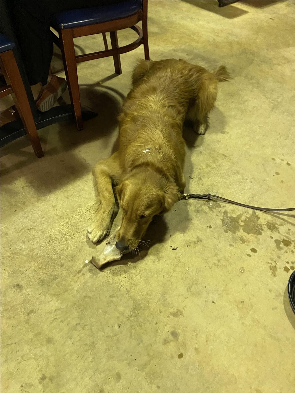 Big John's Texas BBQ restaurant view 1